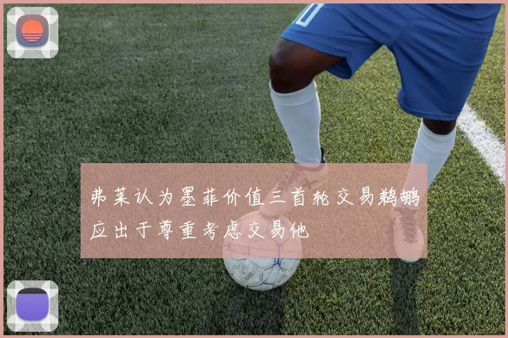 弗莱认为墨菲价值三首轮交易鹈鹕应出于尊重考虑交易他